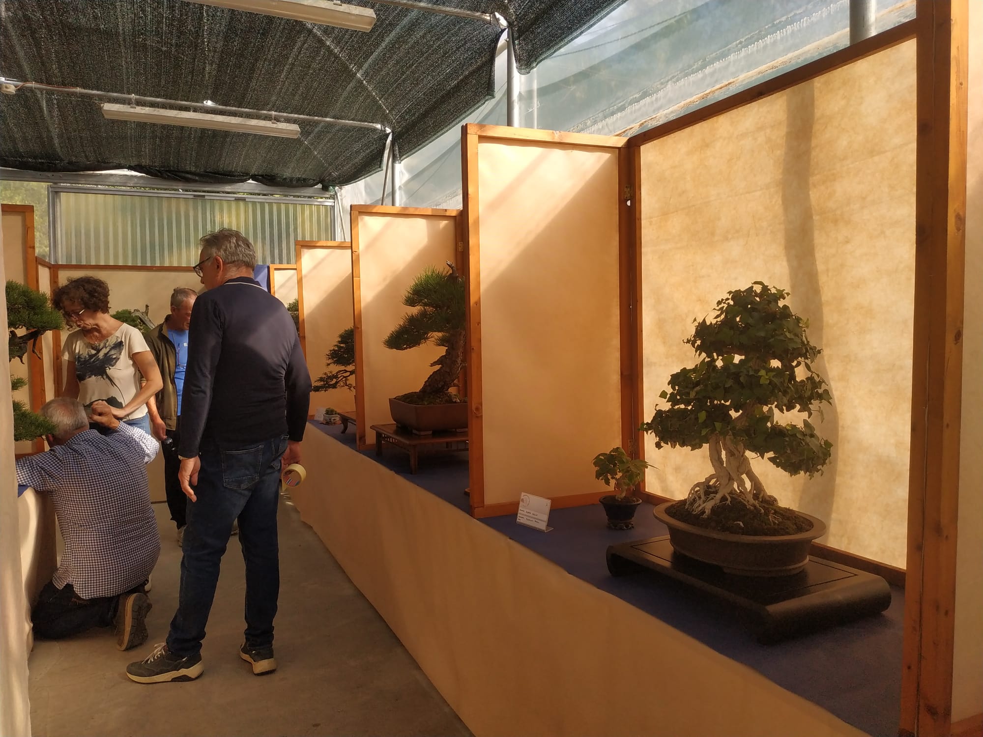 visita mostra bonsai 2022