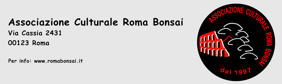Roma Bonsai: Associazione Culturale | Corso Bonsai a Roma | Mostra Bonsai a Roma