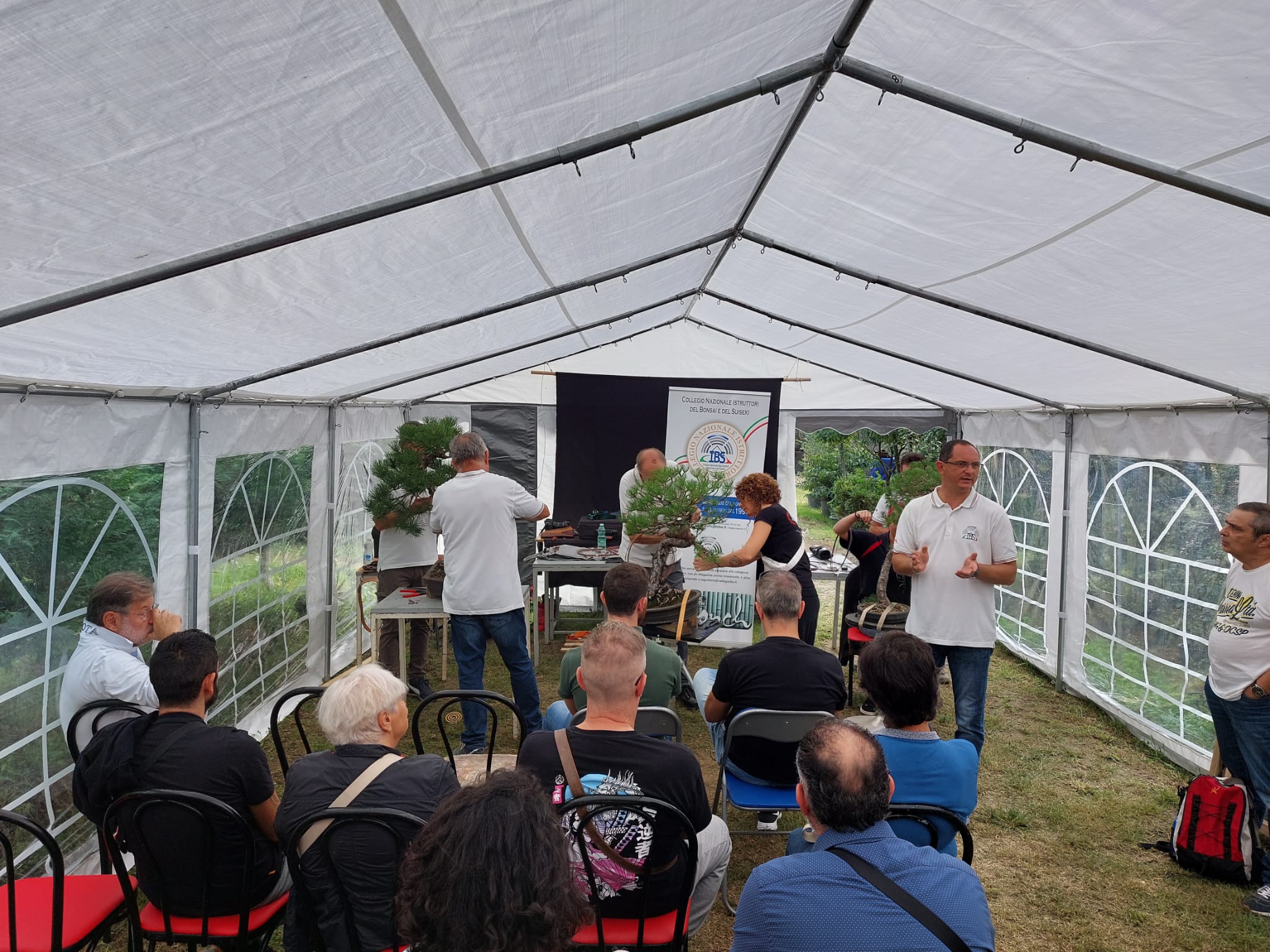 Imparare a creare un Bonsai a Roma