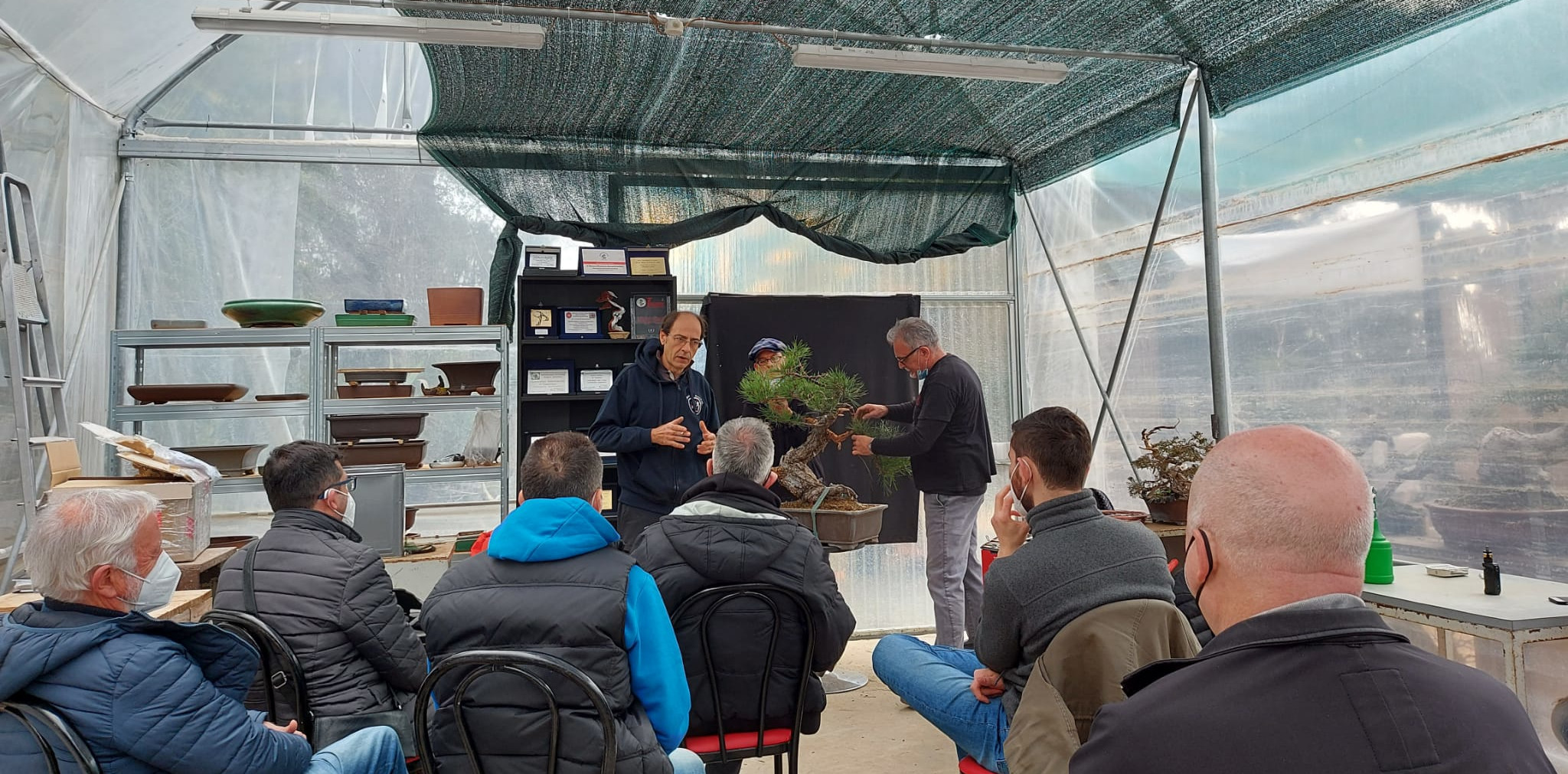 Corso Bonsai a Roma