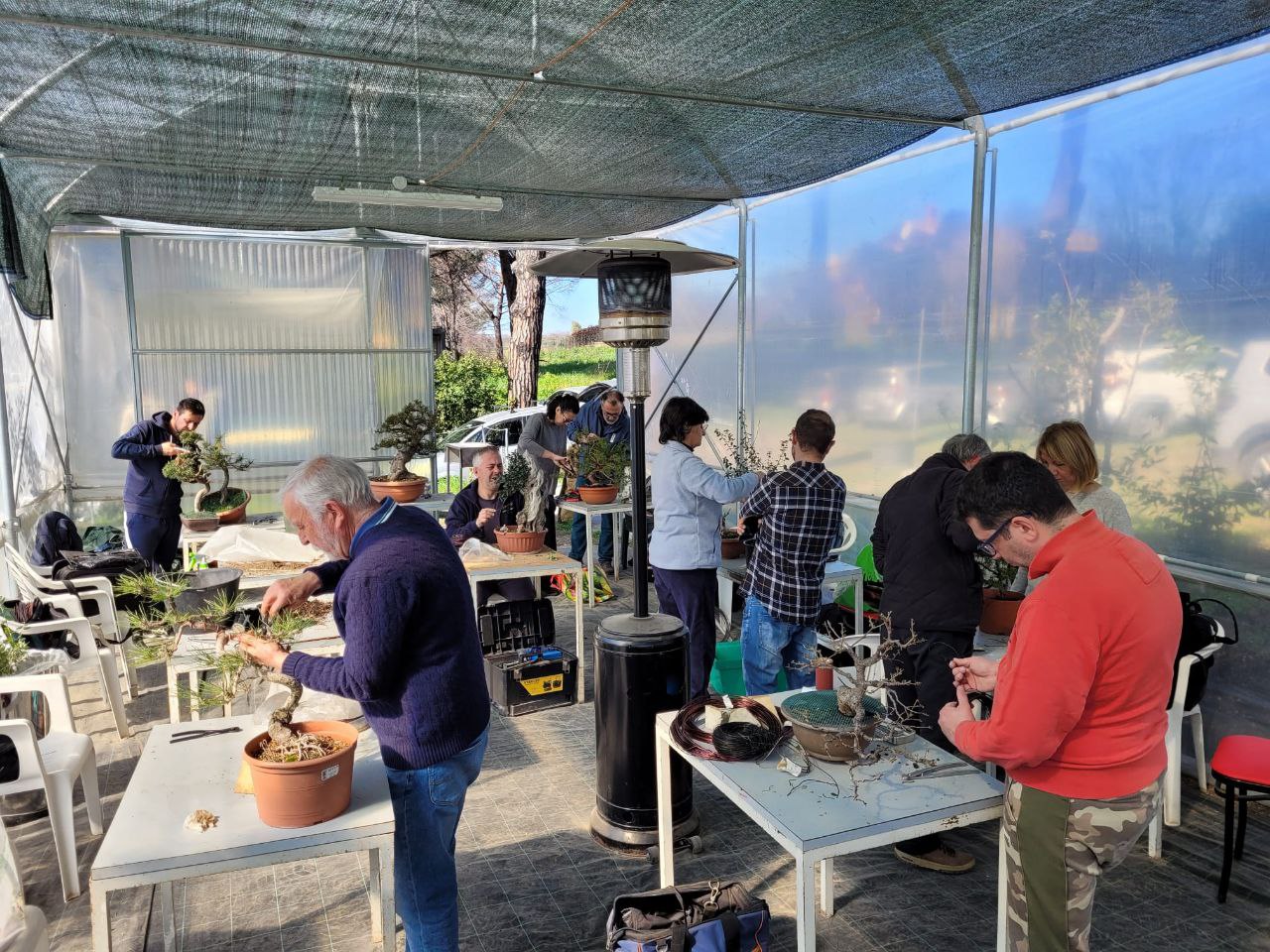 Imparare a fare bonsai a Roma