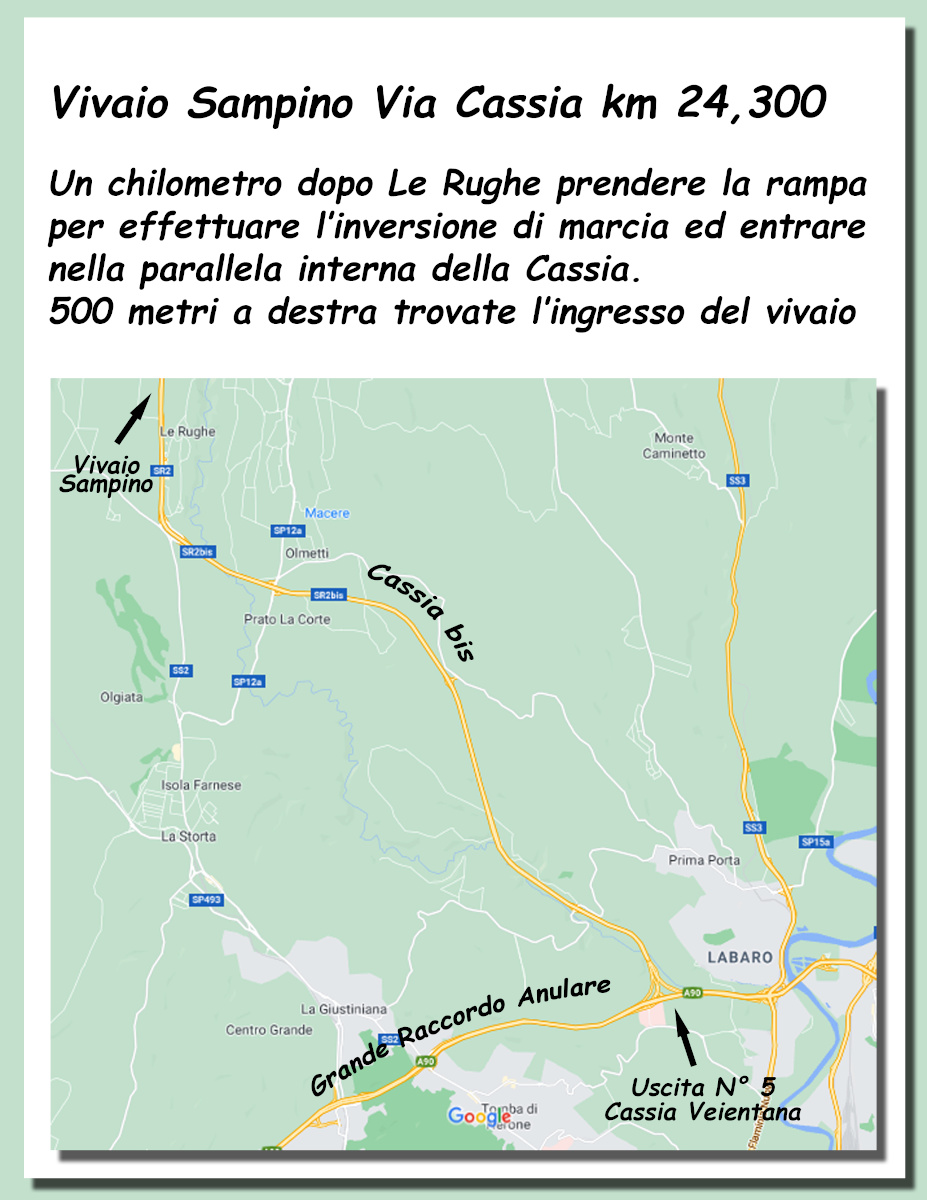 Comunicato dall’Associazione