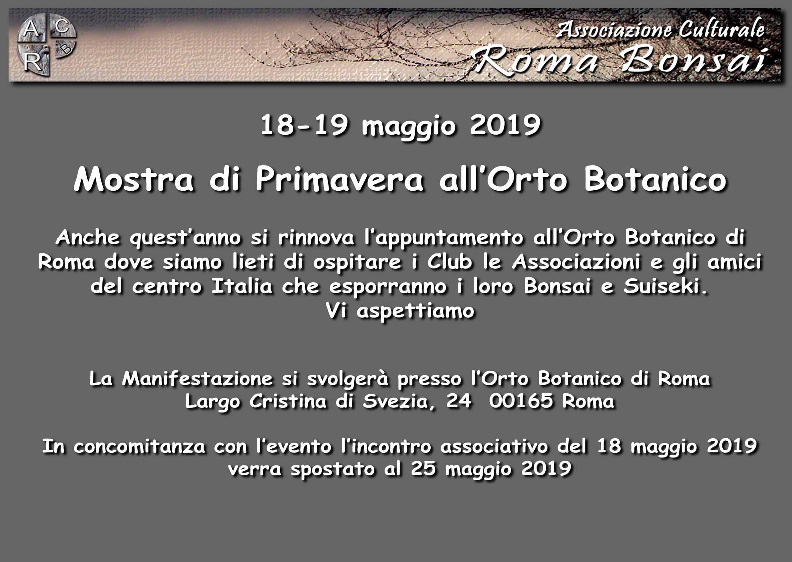 Mostra Bonsai a Roma: Orto Botanico 2019