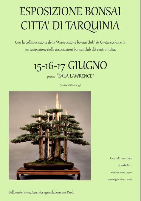 Esposizione Bonsai Città di Tarquinia