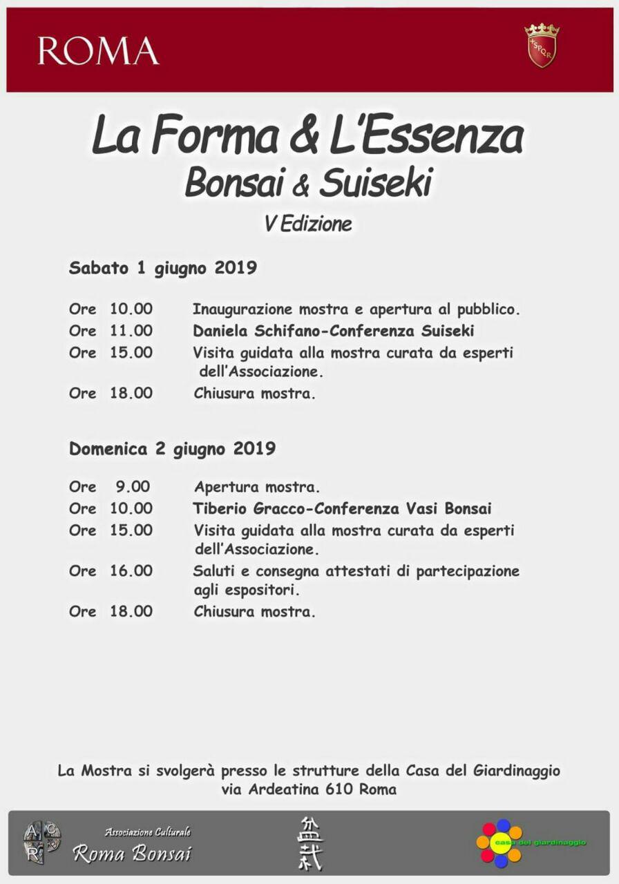 Mostra Bonsai a Roma : La Forma e l’Essenza 2019