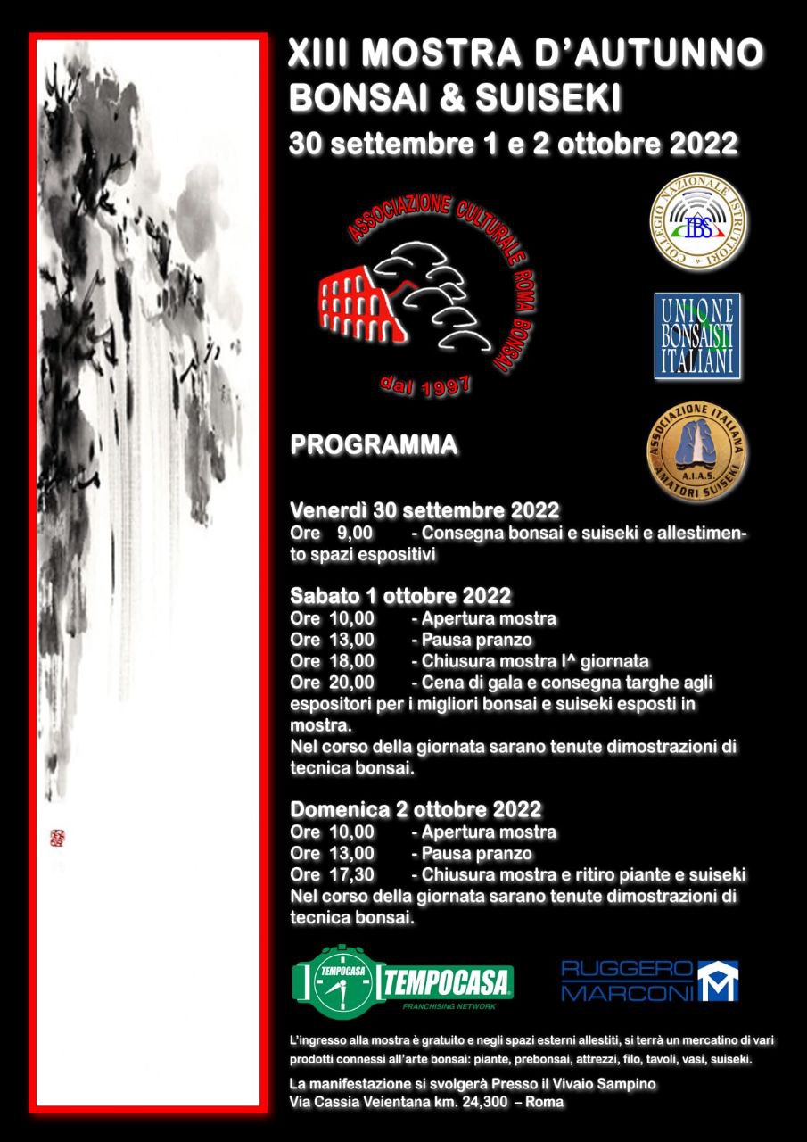 Mostra Bonsai a Roma – Ottobre 2022