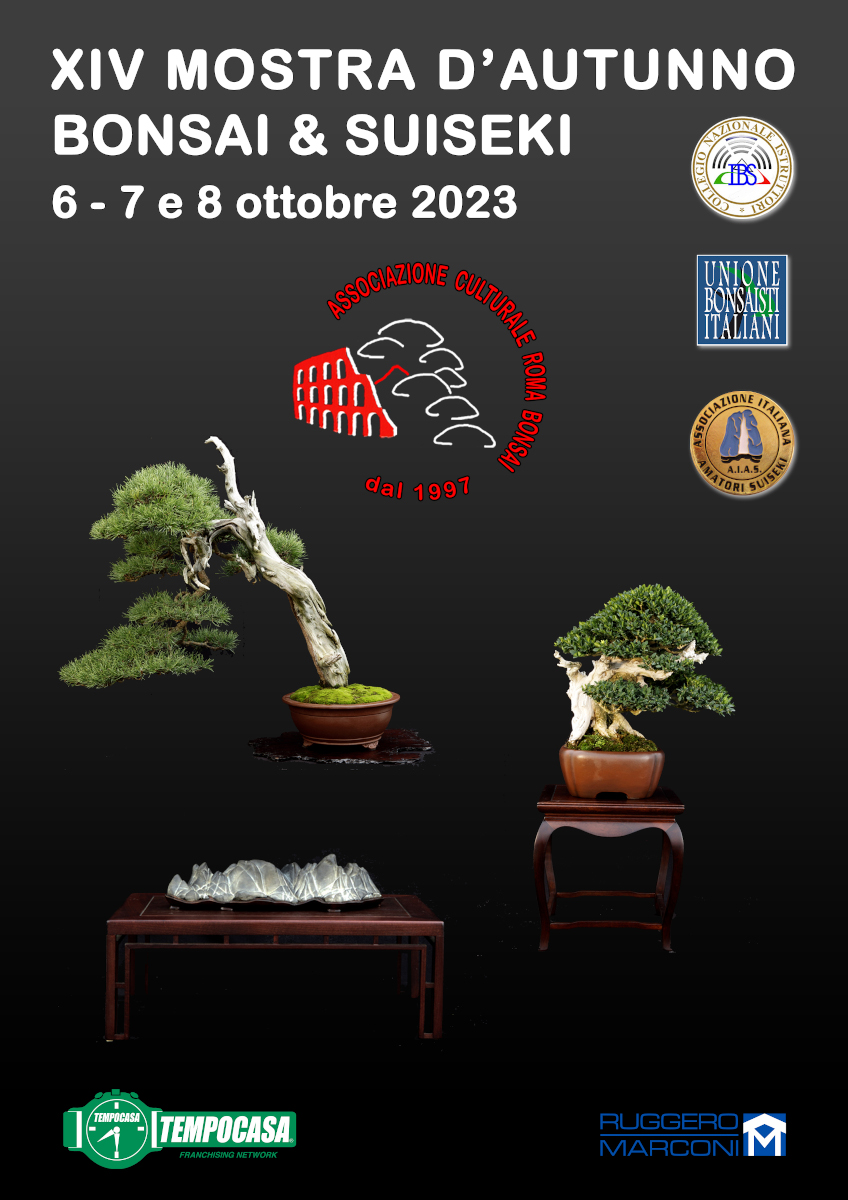 Mostra Bonsai a Roma – Ottobre 2023