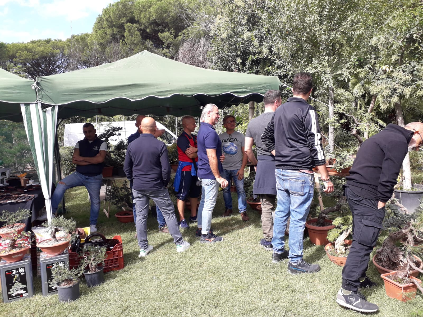 discutendo tra amici sul valore dei bonsai discutendo tra amici sul valore dei bonsai